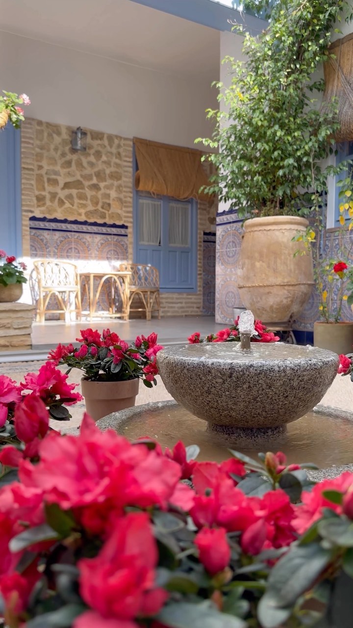 Qué paz da nuestro patio ✨🌸